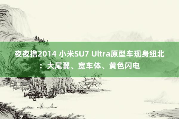 夜夜撸2014 小米SU7 Ultra原型车现身纽北：大尾翼、宽车体、黄色闪电
