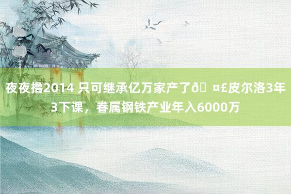 夜夜撸2014 只可继承亿万家产了🤣皮尔洛3年3下课，眷属钢铁产业年入6000万