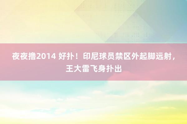 夜夜撸2014 好扑！印尼球员禁区外起脚远射，王大雷飞身扑出